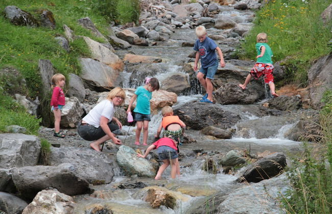 Schattaugut - Foto 23