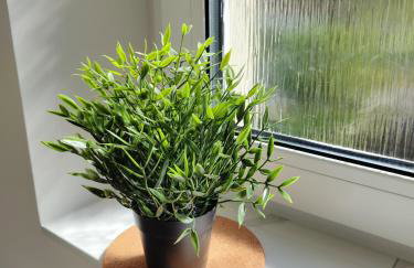 Apartament Centrum Kłodzko - Stara i Piękna Kamienica - ulica Okrzei, Spokój, Parking, 25m2 - Foto 12