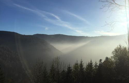 Black Forest Bike Hostel - Foto 11