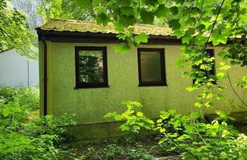 Bumbeldink - Foto 23