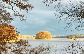 ArtHouse Pelnik - Photo 65