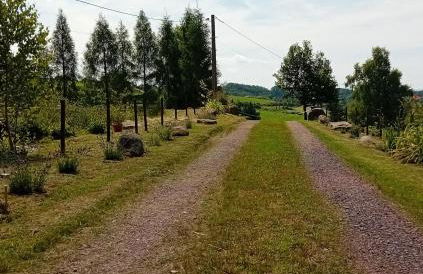 gîte des 1000 étangs - Foto 6