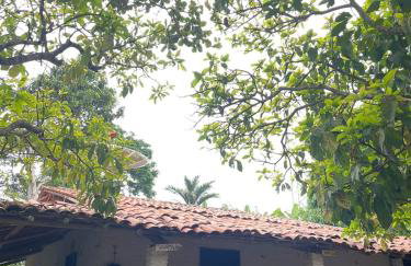 Sítio na Serra de Mulungu - Foto 19