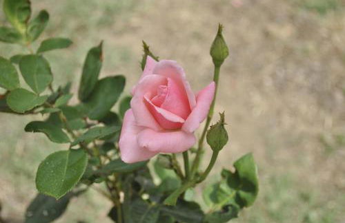 Agriturismo La Villetta - Foto 31