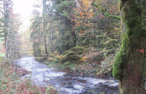 Ferienwohnung-Schoenmuenzblick-Urlaub-im-Nationalpark-Schwarzwald-Schwarzwald-Plus-inklusive - Photo 33