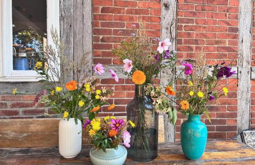 Wendlandhof Lüggau - Foto 80