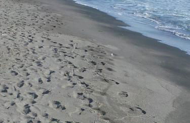 ççç Holiday Properties Le Vele ççç - Foto 73