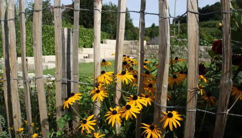 Weingut Landerer - Foto 5