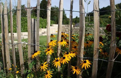 Weingut Landerer - Foto 5