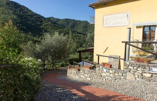 Agriturismo a Canonica - Foto 35