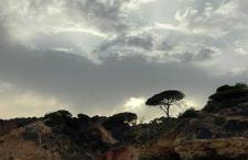 Jeannie's Oura Estrela - Foto 58