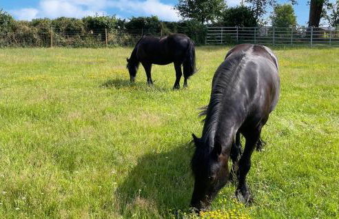 Le Vieux Fournil - Foto 14