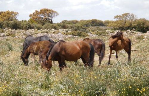 Il Borgo dell'Arcangelo - Foto 66