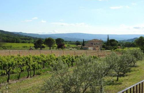 Maison dans les vignes - Foto 33