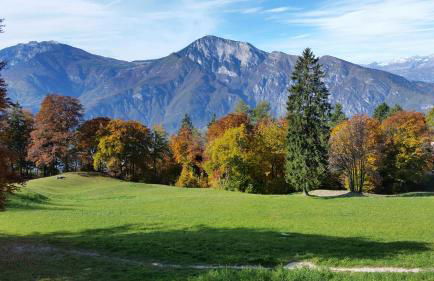 A&B Le Terrazze del Sale' - Apartments - Foto 51