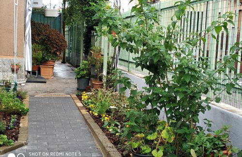 CASA DI LUX E MAX - SUB 701 - Photo 32