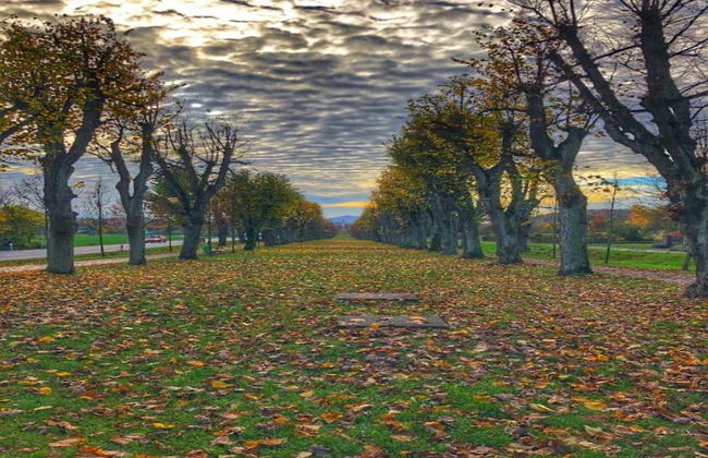 Peaceful Holiday Home in Holin With Garden - Photo 19