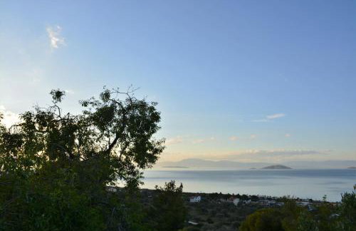 Jimi's House - Foto 25