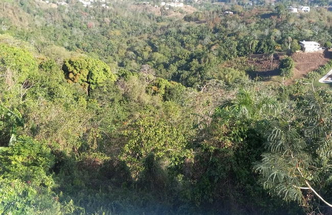 Aguada Farm & Eco-Lodge - Photo 9