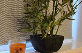 Spacious Entire House with Free Parking Perfect for Relocators Contractors and Long Term Stays - Photo 27