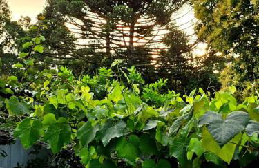 Casa de Temporada Doce Luar - Foto 40