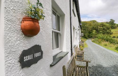 Scale Force - Foto 4