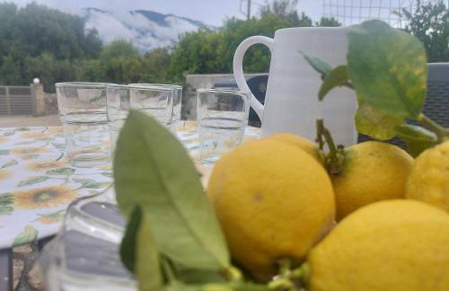 Spedion Kefallonia - Villas with jaccuzzi - Foto 90