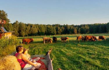 Agroturystyka Leśna Malinka - Foto 7