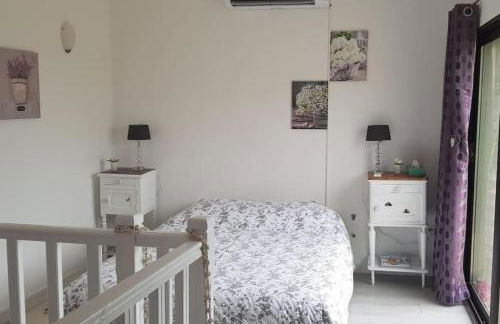 Duplex de charme avec terrasse au coeur du village - Foto 7