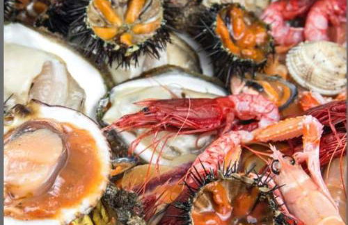 Casa Pagani - Foto 15