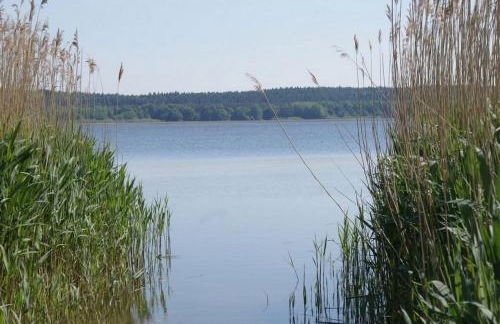 Ferienhaus Sommerwiese - ABC327 - Foto 20