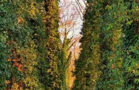 Little village Trikala - Photo 37