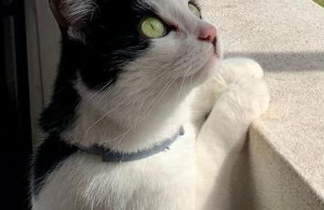 Casa do Paço Aveiro - HolidayHome - Foto 40