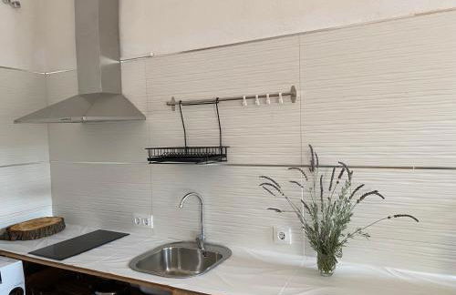 ApartamentosTREVEJO La Noguera villamiel - Foto 14