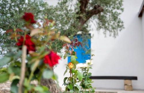 Luna Calante Tra gli Agrumi - Foto 5