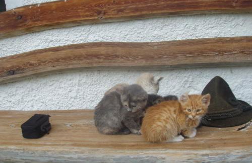 Oberschoellberghof - Photo 13