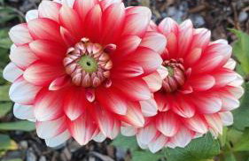 Stodola Rybojady - Foto 46