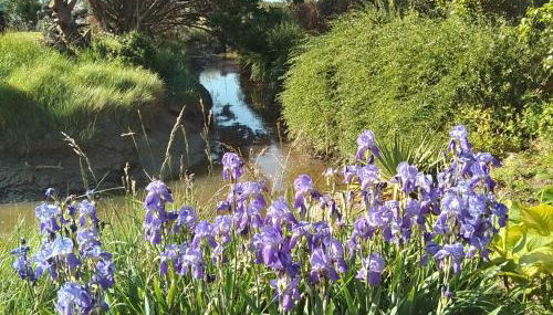 La Maison Du Soleil Couchant - avec jardin - à 250 m de la plage - Véranda - Foto 5, Garden
