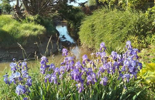 La Maison Du Soleil Couchant - avec jardin - à 250 m de la plage - Véranda - Foto 5
