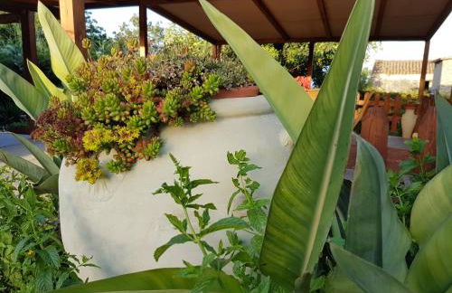 Agriturismo Macchia di Riso - Foto 12