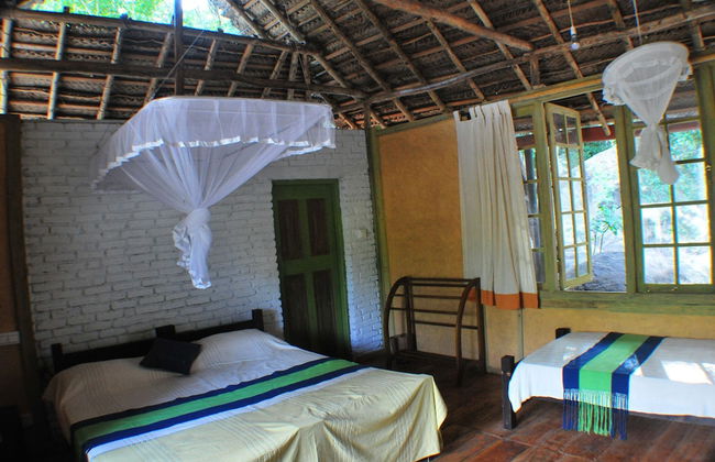 Back of Beyond - Dehigaha Ela - Photo 5