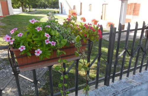 Apartmani Bartulasi - Photo 19