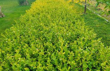 IL GIARDINO DI ATHENA - Foto 8