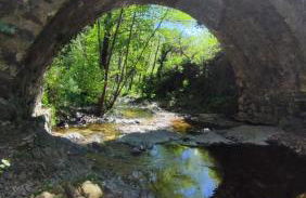 Le marronnier - Foto 9