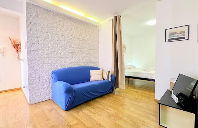 Cleo mimosa - Foto 15