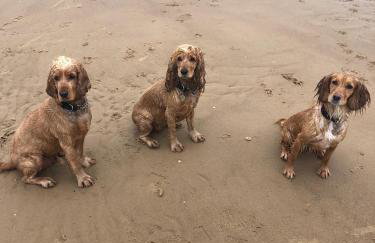 Church Farm Dairy - Foto 15