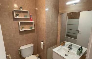 Appartement Cern Geneve Terrasse Station de ski - Foto 9