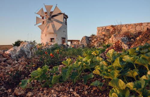 Anemomilos - Foto 66