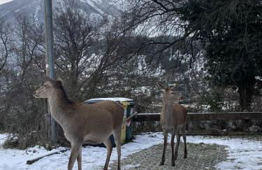 Casa Vacanze DaMa - Foto 32