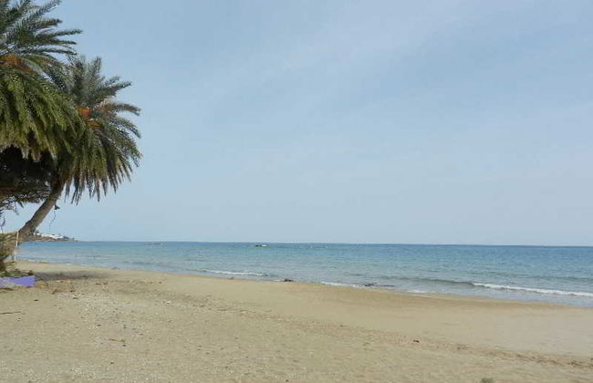 Sunshine Studios & Apartments - Foto 6